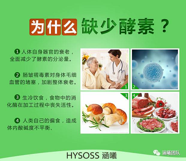 酵素养身如何改变我们的健康理念