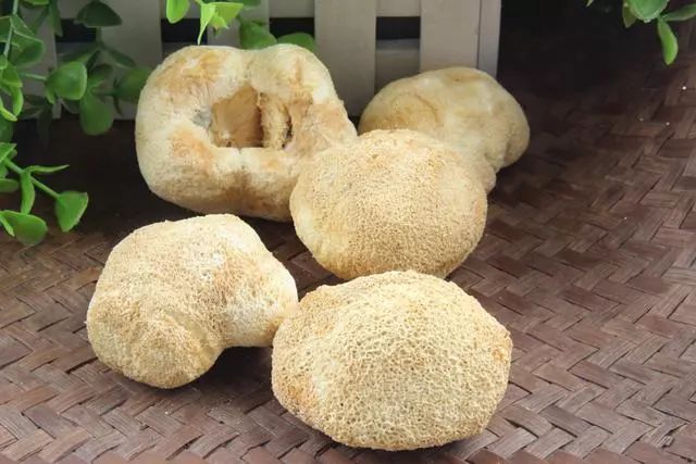 香菇多糖、猴头菇多糖、枸杞多糖都是糖，区别也太大了吧？